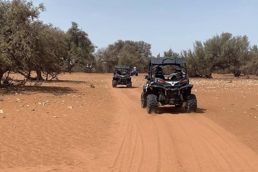 Agadir: Half-Day Desert Dunes Buggy Safari - Is $56 good value?