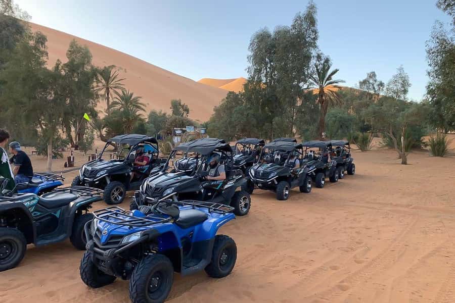 Agadir: Half-Day Desert Dunes Buggy Safari - Taking the wheel for the first forest tracks