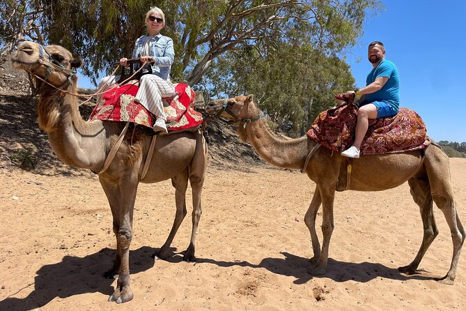 Agadir Quad ATV Adventure Tour with Berber Tea Experience - Back on the quad for a second ride