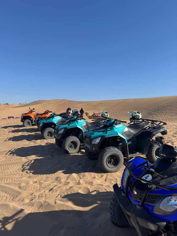 Agadir: Quad Bike Desert&Beach Adventure with Free Pickup - Guides, languages, and the feel of the outing