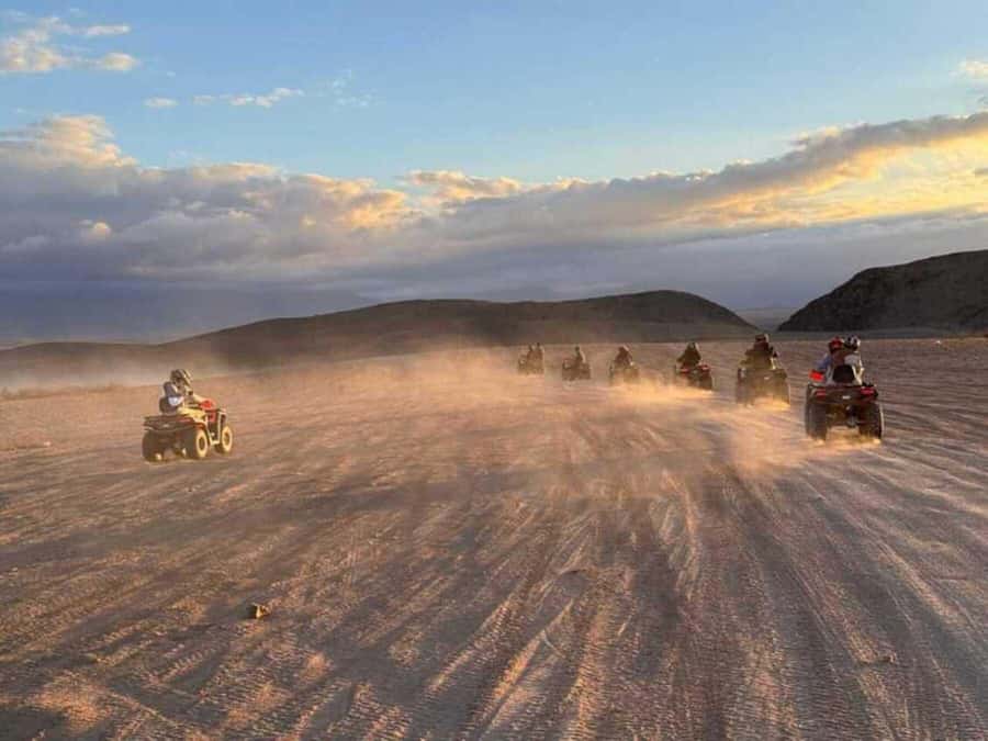 Agadir: Quad Bike Safari Desert With Moroccan Tea - The goats in argan trees
