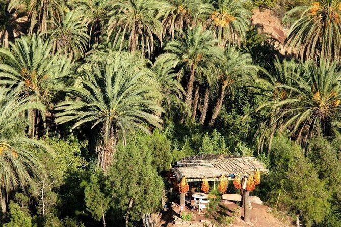 Agadir Quad Biking on the Beach & Sandboarding in the Desert - What I like most about the route