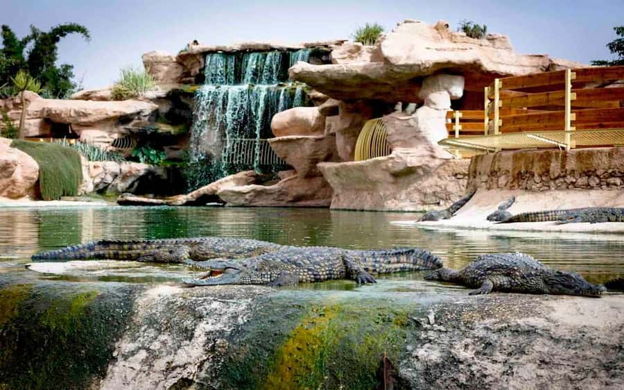Agadir: Quad Safari with Crocoparc Optional - Key points to know before you book
