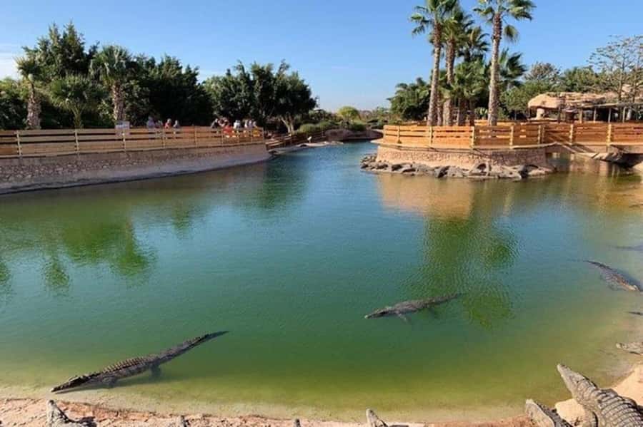 Agadir: Quad Safari with Crocoparc Optional - Is $29 a good deal?