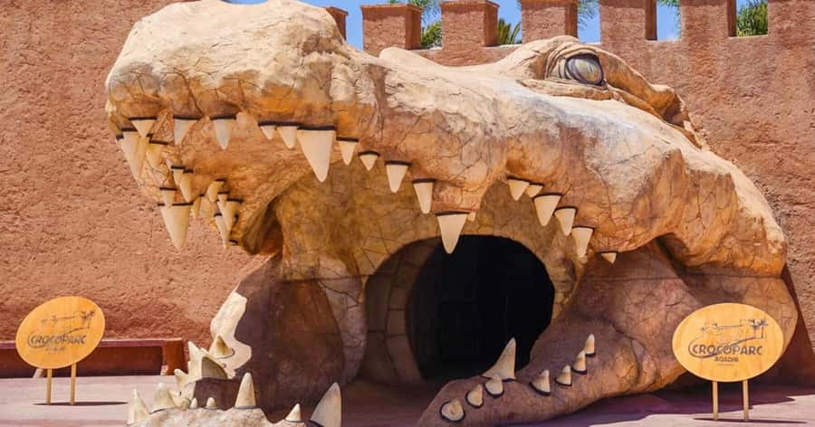 Agadir: Quad Safari with Crocoparc Optional - How the timing affects your day
