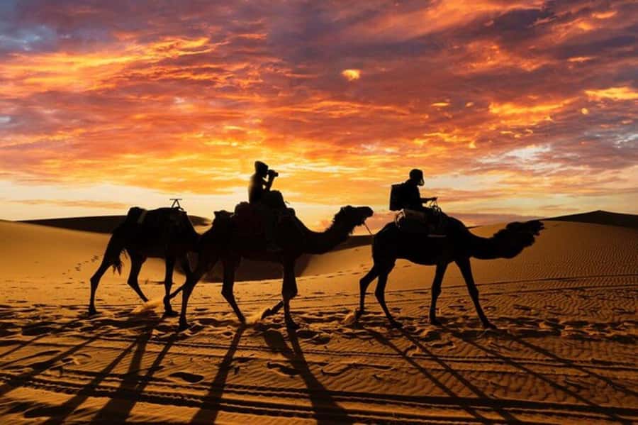 Agadir/Taghazout: Desert & Beach Safari Quad With Transfer - Tea, sandboarding, and the extra stops