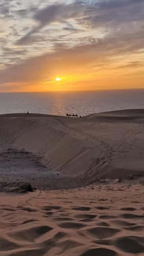 Agadir/Taghazout : Quad Bike & Camel Ride On The Beach - The coast is the main attraction