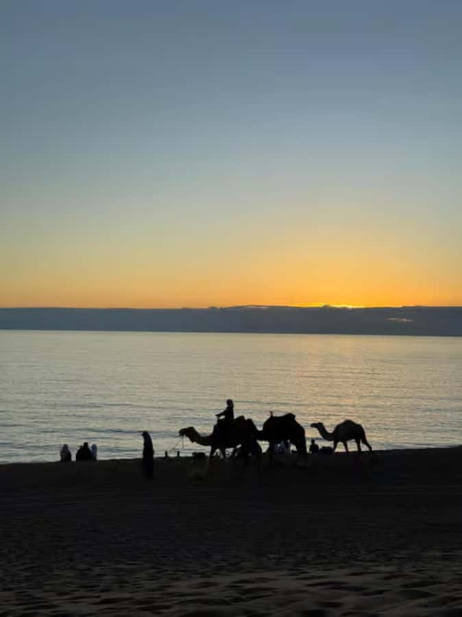 Agadir/Taghazout : Quad Bike & Camel Ride On The Beach - What the $68 price includes