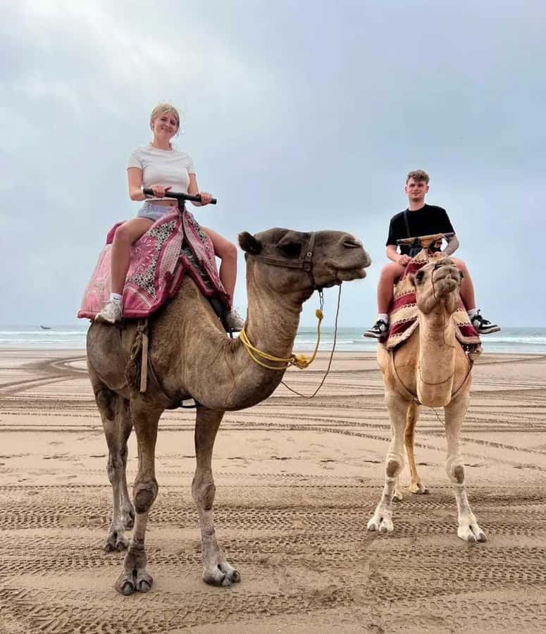 Agadir/ Taghazout: Safari Quad Bike on the Beach & Desert - Key points at a glance