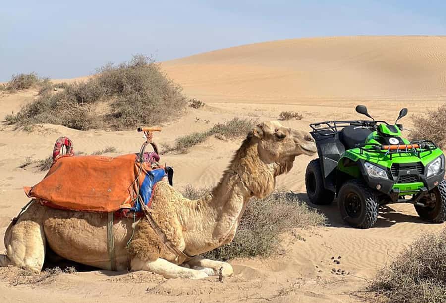 Agadir to Tifnit Desert: Quad Biking Tour with Sandboarding - Sandboarding adds fun, and a workout