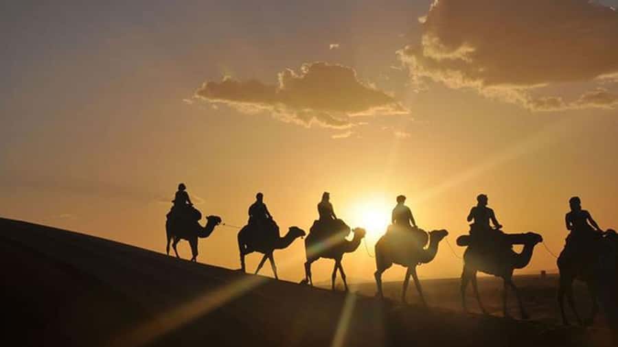 Agafay and atlas: Quad and camel experience - Food and the overnight option