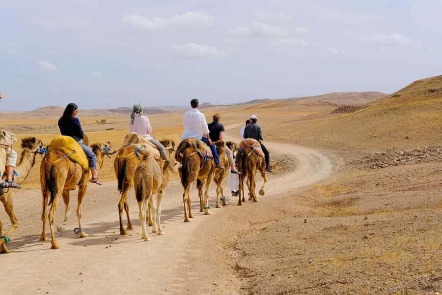 Agafay and atlas: Quad and camel experience - What to pack and what to expect