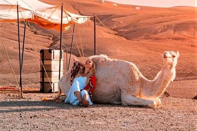 Agafay Desert: Dinner + Show with Quad Bike & Sunset Camel Ride - Leaving Marrakech Around 3 p.m.