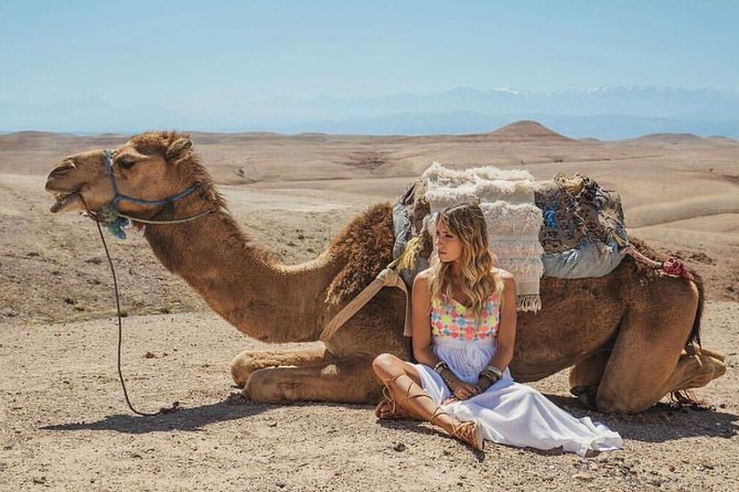Agafay Desert Package, Quad Bike, Camel Ride and Dinner Show - The argan oil stop: useful, but not the main event