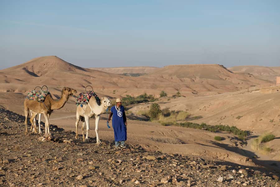 Agafay Desert: Quad Bike and Camel Ride Adventure Tour - Who will get the most from this tour