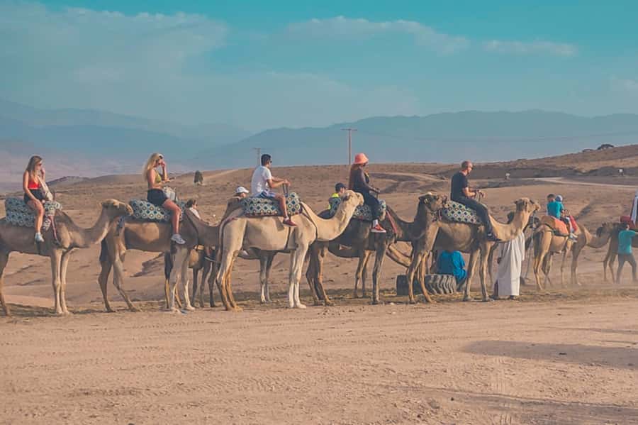 Agafay Desert: Quad Biking, Camel Ride, Lunch - Timing, comfort, and what to bring