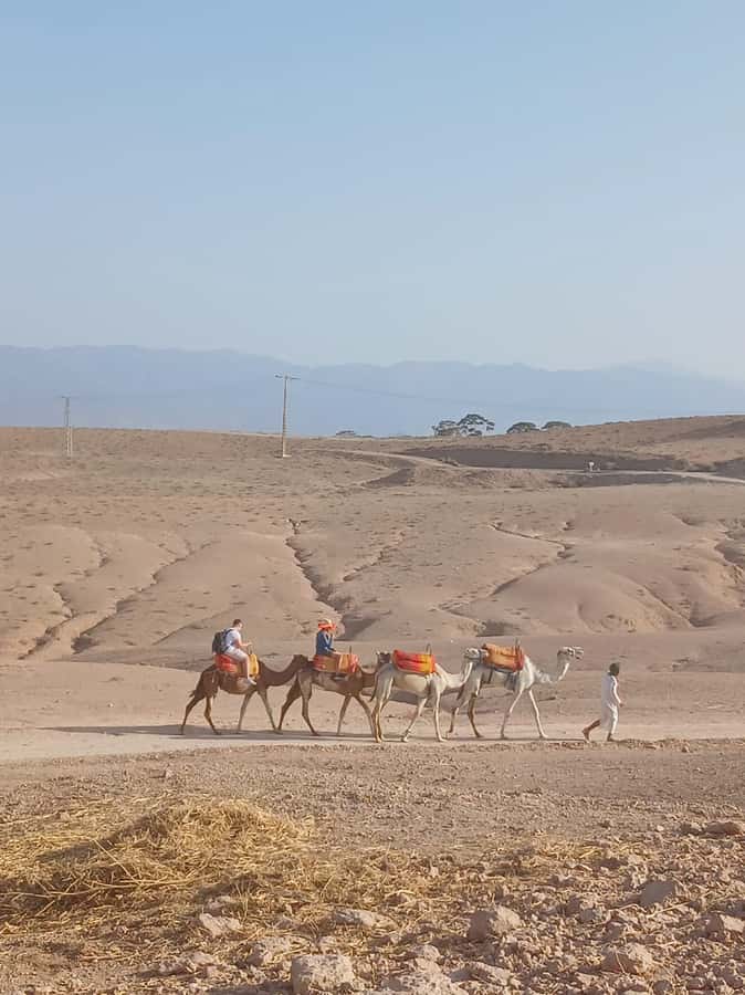 Agafay Desert: Quad Biking, Camel Ride, Lunch - Moroccan lunch, mint tea, and time to slow down