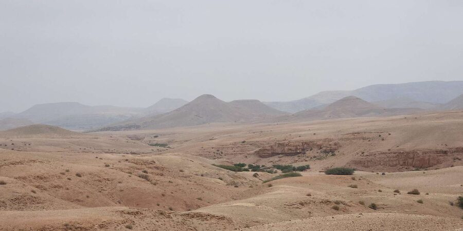 Agafay Desert: Quad Biking, Camel Ride, Lunch - Guides, communication, and the human side of the day