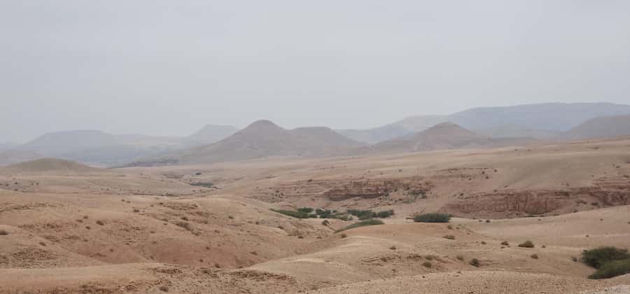 Agafay Desert: Quad Biking, Camel Ride, Lunch - How good is the $34 value?