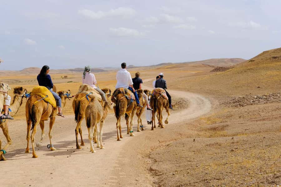 Agafay Desert: Quad, Camel Ride & Luxury Lunch with Pool - Should you book this Agafay experience?