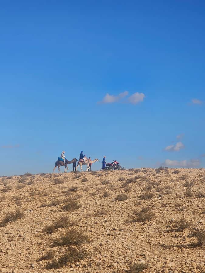 Agafay Desert Tour: Quad, Camel, Lunch & Pool Access - Pool time after the dust and heat