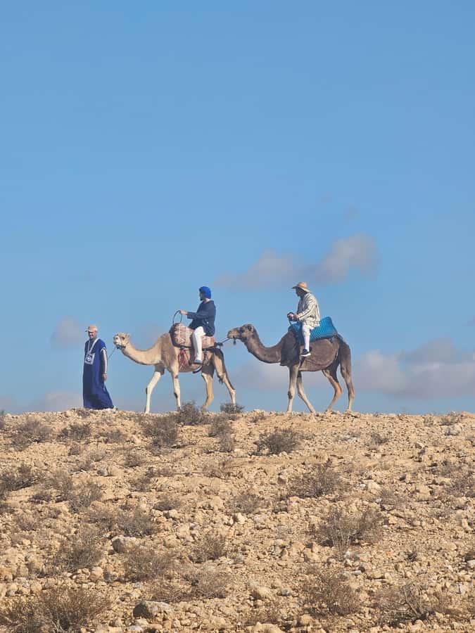 Agafay Desert Tour: Quad, Camel, Lunch & Pool Access - Value at $81 per person