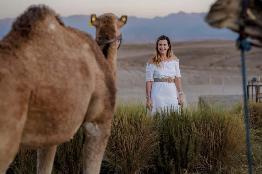 Agafay Desert Tour: Quad, Camel, Lunch & Pool Access - Quad biking across Agafay’s rough ground