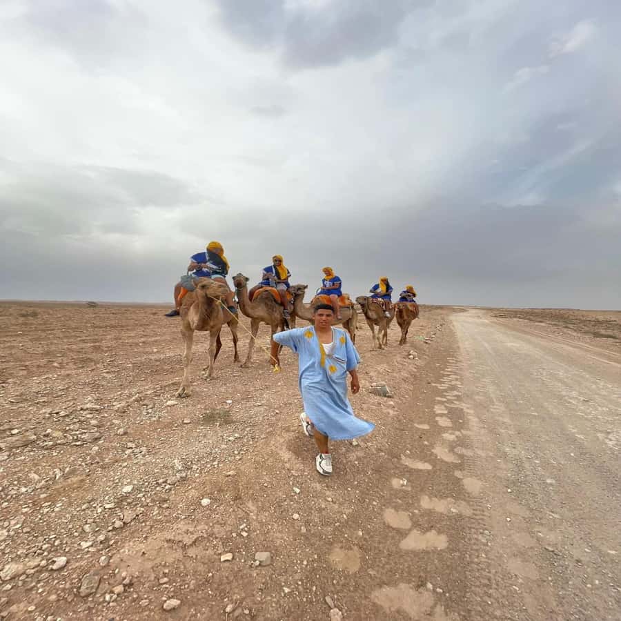 Agafay experience : Dinner with sun set camel or quad ride - Who should book this Agafay evening?