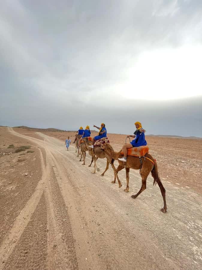Agafay experience : Dinner with sun set camel or quad ride - Sunset by camel or quad bike