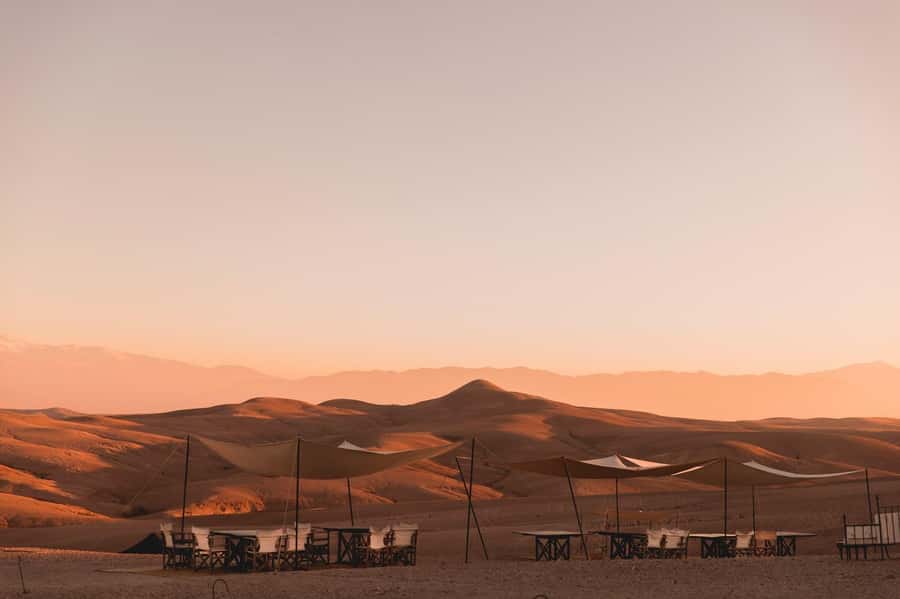Agafay: Half-Day Rocky Desert Quad & Camel Ride with Lunch - Key points to know before you book
