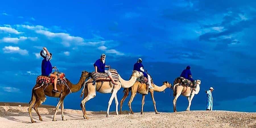 Agafay: Half-Day Rocky Desert Quad & Camel Ride with Lunch - The guides and the human side of the day