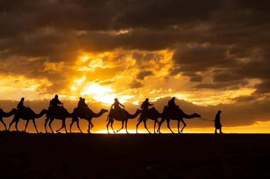 Agafay: Quad, Camel Ride & Dinner Show from Marrakech - The guide can shape the whole evening