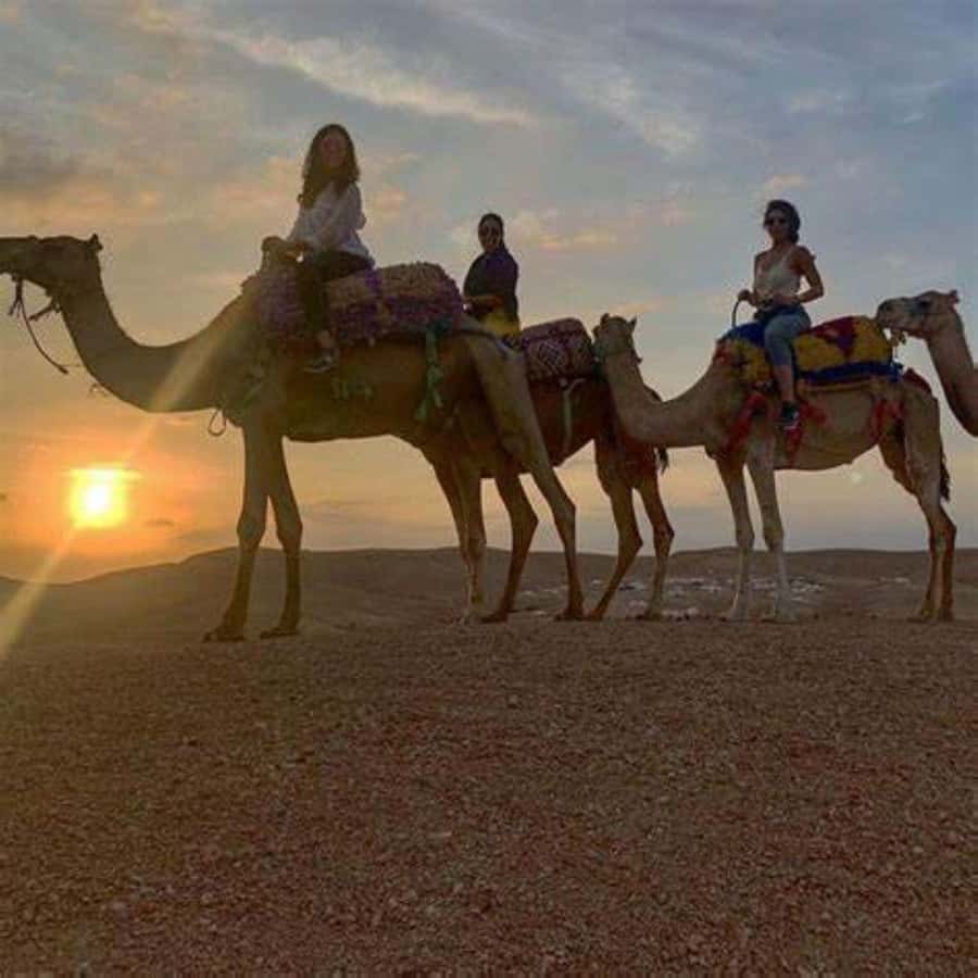 Agafay: Quad, Camel Ride & Dinner Show from Marrakech - What $22 really buys you