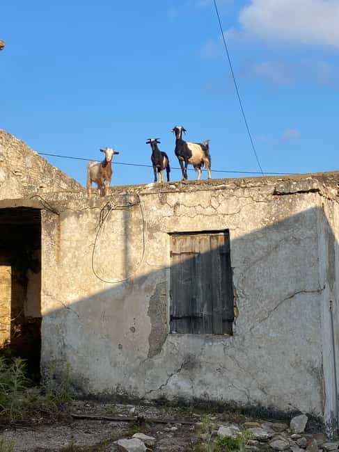 Agia Pelagia: Sunset or Morning Quad Tour & Ghost Town Visit - Descending the old donkey road toward Fodele