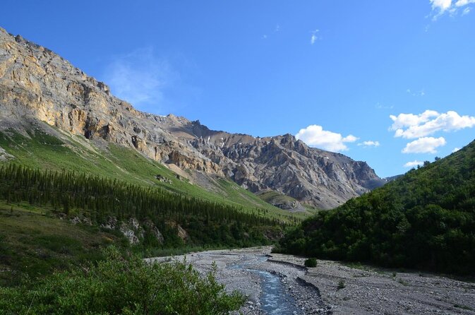 Alaskan Back Country Side by Side ATV Adventure with Meal - Key points to know before you book
