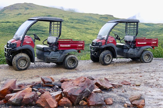 Alaskan Back Country Side by Side ATV Adventure with Meal - A real back-country ride, not a gentle sightseeing loop
