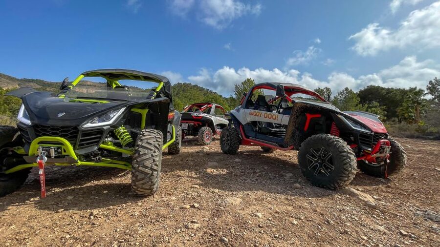 Albir: Buggy Tour Off-Road - Key points at a glance