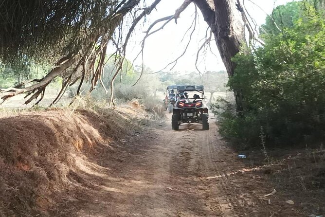Albufeira 1.5 hour Off-Road Tour Buggy Adventure Tour - Dust, mud, and what to wear
