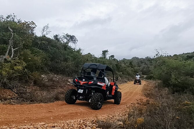 Albufeira 1.5 hour Off-Road Tour Buggy Adventure Tour - Booking, weather, and timing tips