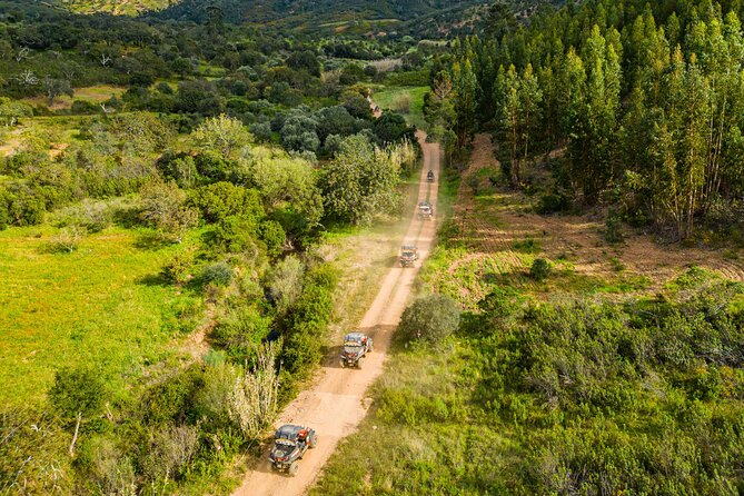 Albufeira: 3-Hour Off-Road Buggy Tour to Hidden Algarve Trails - Timing, weather, and cancellations
