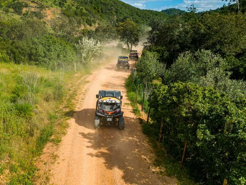 Albufeira: Buggy Adventure through the Algarve Hidden Gems - Should you book the Albufeira buggy adventure?