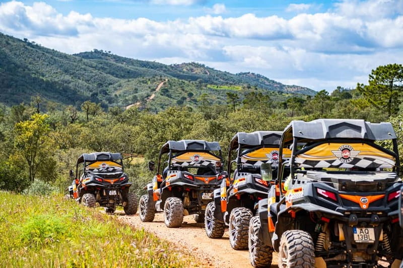 Albufeira: Buggy Adventure through the Algarve Hidden Gems - Farms, local stops, and the Goji break