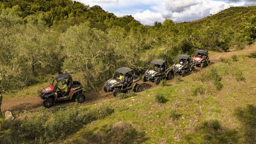 Albufeira: Buggy Adventure through the Algarve Hidden Gems - Who will enjoy this most?