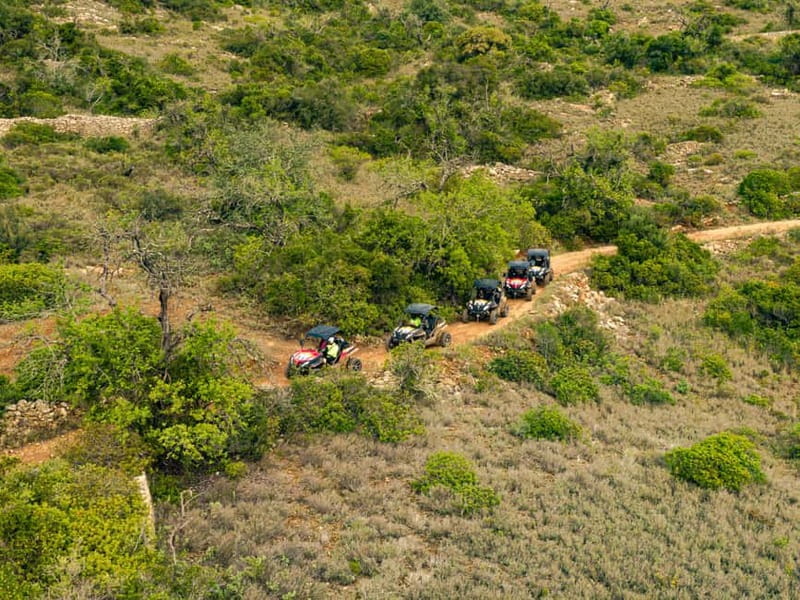 Albufeira: Full-Day Buggy Tour with Lunch - Quinta do Freixo and the long lunch stop