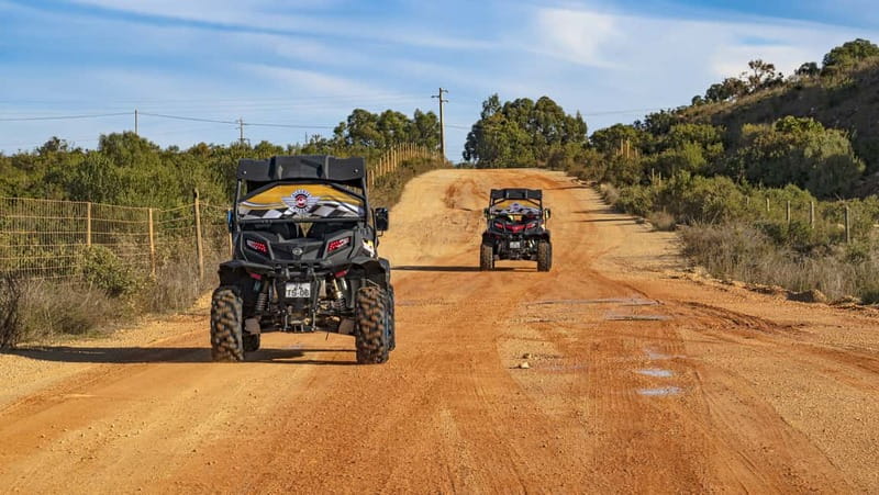 Albufeira: Full-Day Buggy Tour with Lunch - How the price works for two people