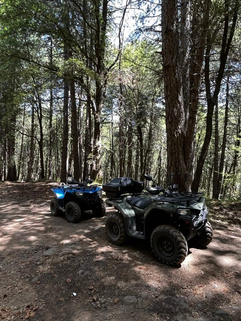 Alcantara: Valley and Gurne dell'Alcantara ATV Adventure - Riding from the gorges toward Francavilla di Sicilia