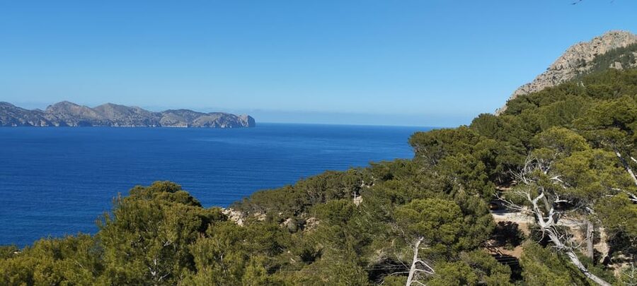 Alcudia: Quad Sightseeing Tour with Viewpoints - What the quad riding is really like