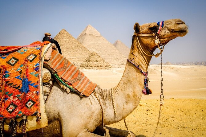 All INC- Pyramids,Camel Ride،(1 hour) four wheeler (ATV)& Lunch - Camel riding around the Giza Plateau