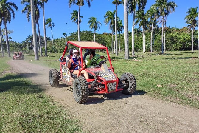 AMBER COVE TAINO BAY Super Buggy Tour - The cigar factory stop, MamaJuana, coffee, and chocolate