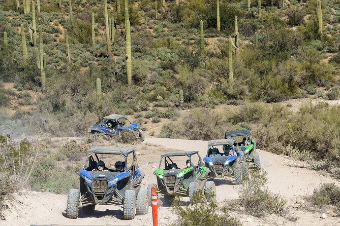 Ancient Ruins Tour - Guided Arizona Desert Tour by UTV - Key points to know before you book